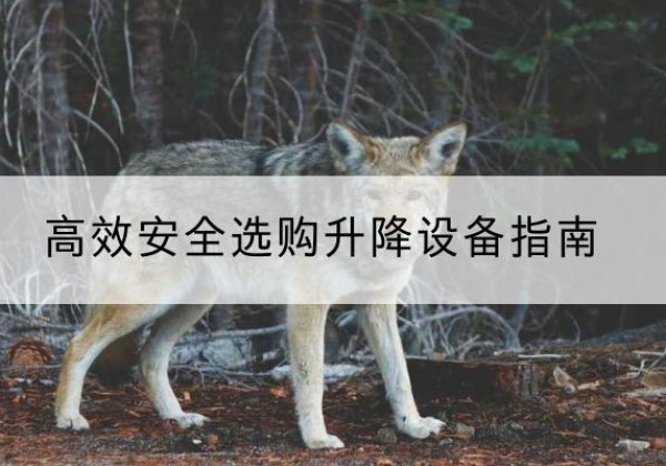 唐河升降货梯厂家推荐-*安全选购升降设备指南