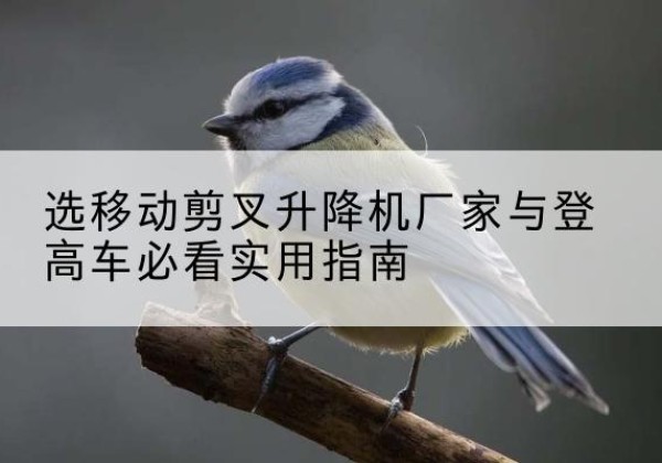 唐河电动升降机厂家-选移动剪叉升降机厂家与登高车必看实用指南