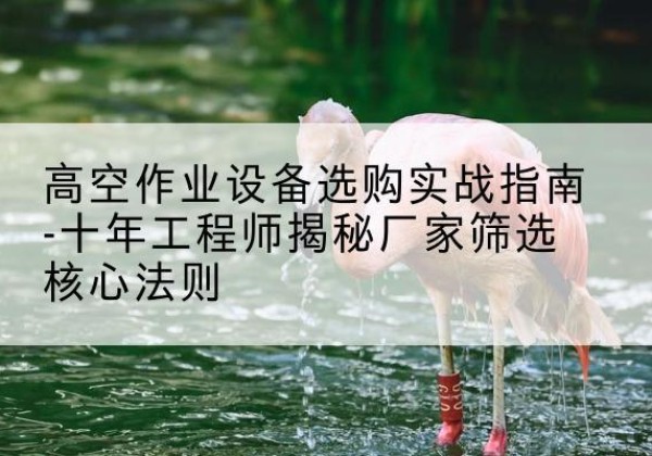 唐河剪叉式升降机厂家-高空作业设备选购实战指南-十年工程师揭秘厂家筛选核心法则